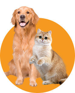 For Pets